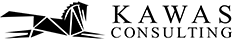 kawasconsulting.com